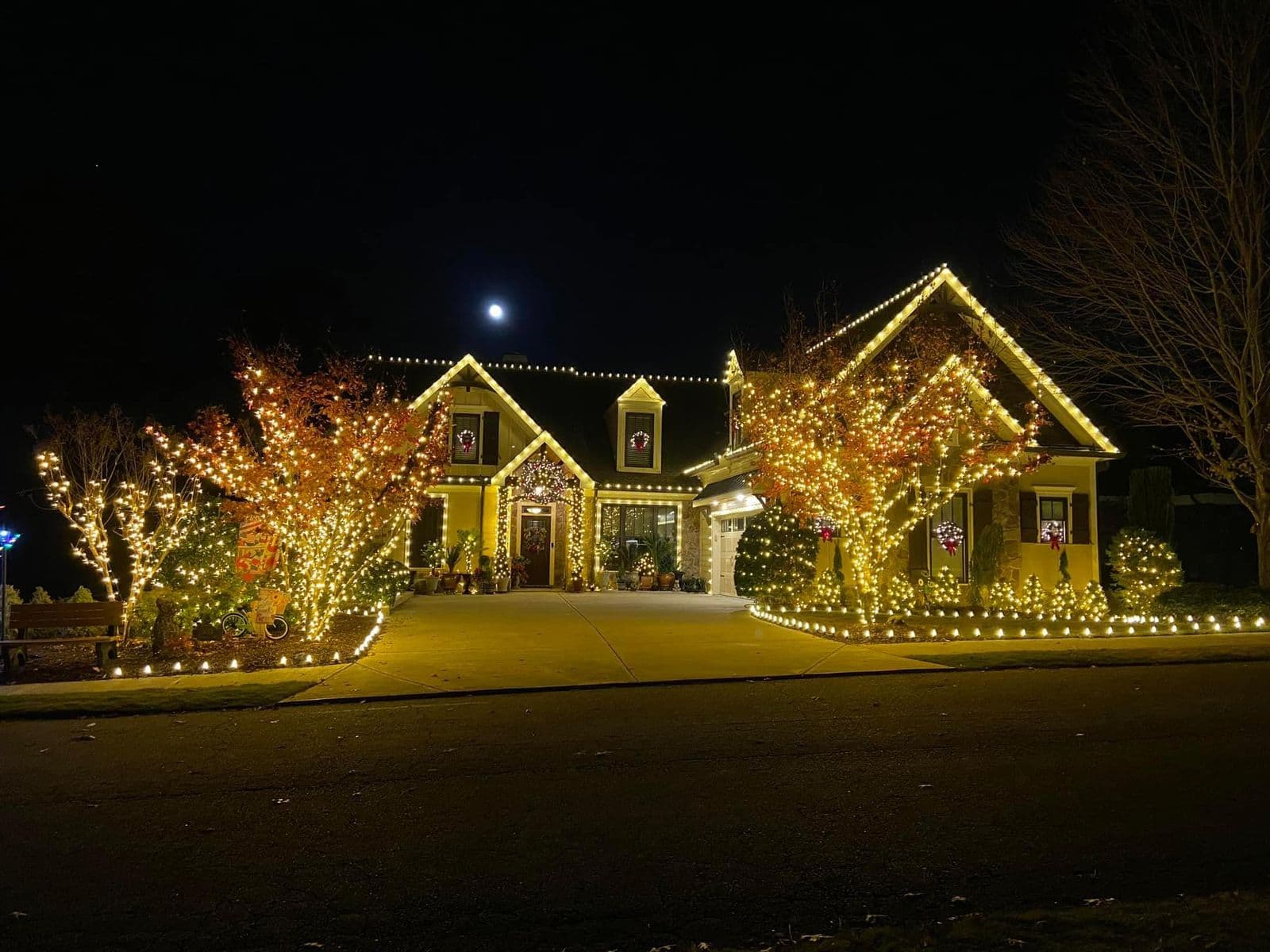 Christmas Lights Display