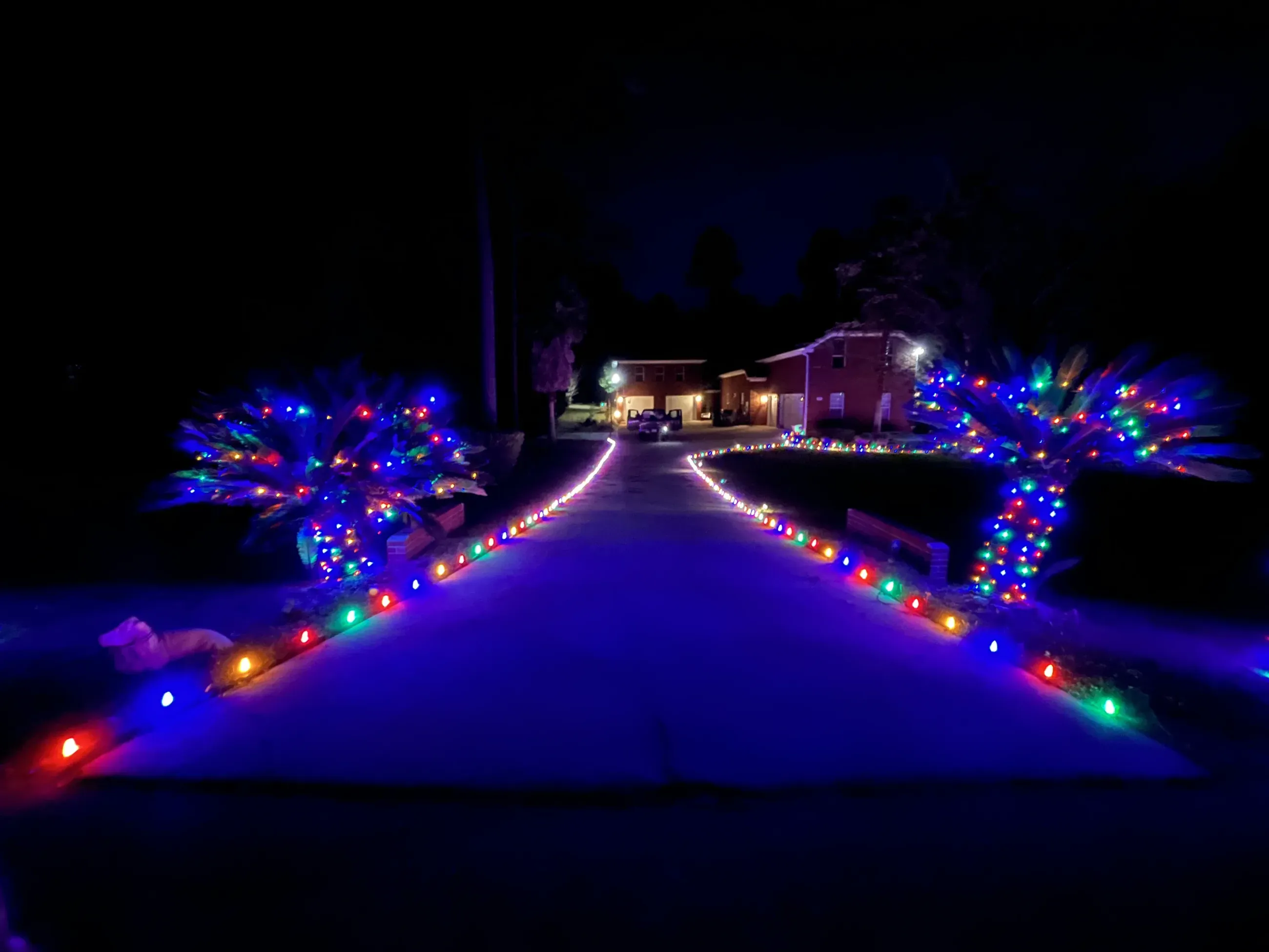 Christmas Lights Display